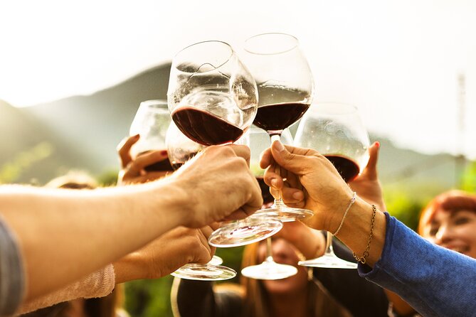Full-Day Wine Tasting Tour in Auckland with 3-Course Vineyard Lunch - The practical details that shape your day