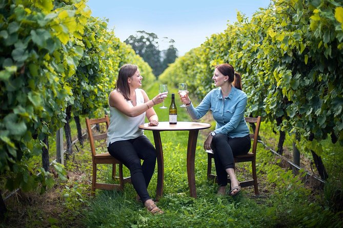 Full-Day Wine Tour from Blenheim - Six hours among Marlborough wineries
