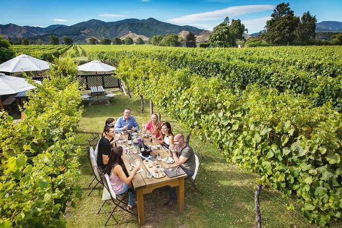 Full-Day Wine Tour from Blenheim - A winery lunch around the middle of the day