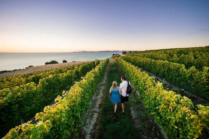 Full Day Winemakers Tour in Marlborough - Six and a half hours among Marlborough’s vines