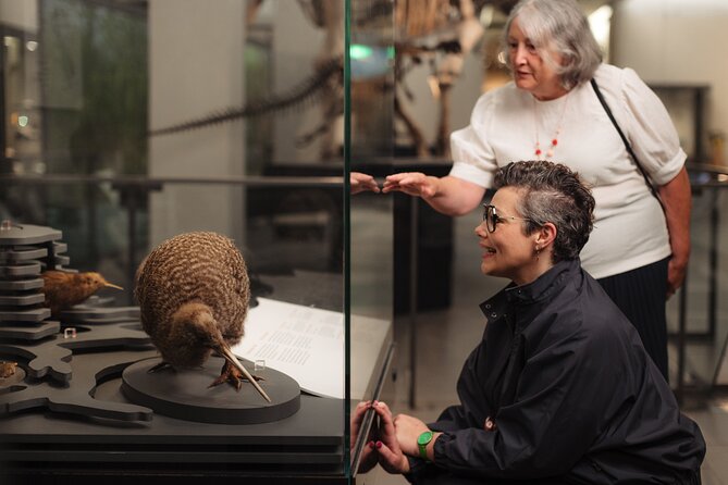 Gallery Highlights Tour and General Admission - The first hour: Māori culture and Polynesian navigation