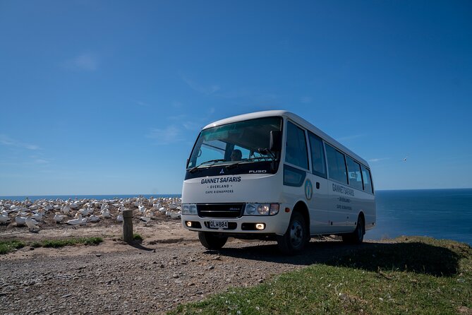 Gannet Safaris Overland tour to Cape Kidnappers Gannet Colony - What the $61.44 price includes