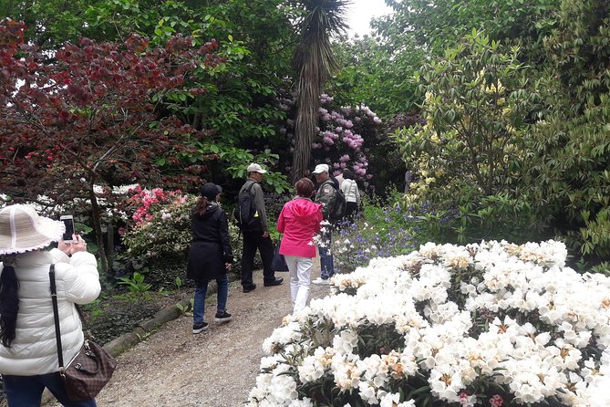 Garden and City tour - Toitu Otago Settlers Museum adds local stories