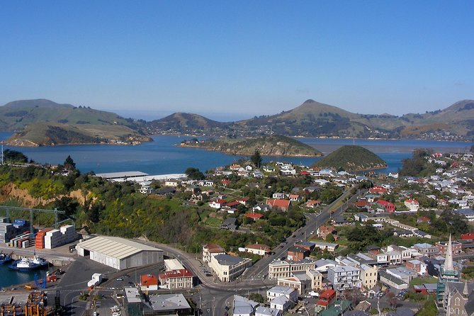 Garden and City tour - The Octagon puts Dunedin in context