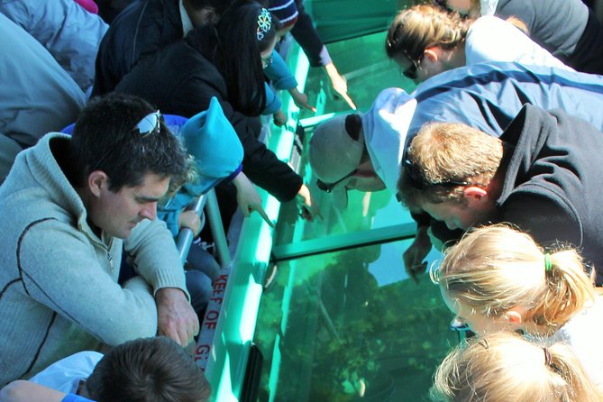 Glass Bottom Boat Tour - What makes this boat trip worth your time