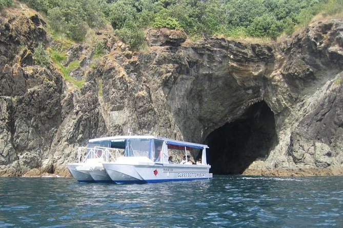 Glass Bottom Boat Tour - Looking below the boat at Goat Island Marine Reserve