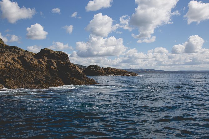 Glass Bottom Boat Tour - Planning the visit around the practical details