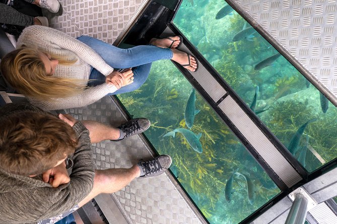 Glass Bottom Boat Whitianga Cathedral Cove Cruise - Key points to know before you book