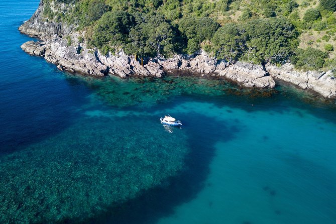Glass Bottom Boat Whitianga Cathedral Cove Cruise - Snorkeling from the boat