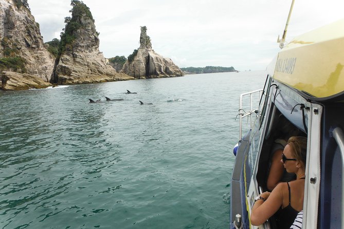 Glass Bottom Boat Whitianga Cathedral Cove Cruise - Wildlife, permits, and responsible viewing