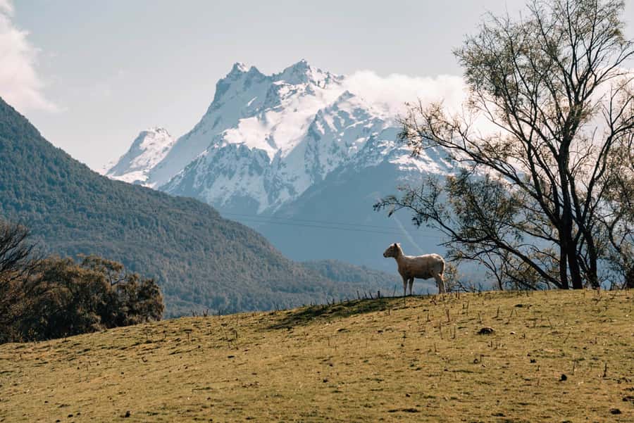 Glenorchy: 4WD Lord Of the Rings Half-Day Tour - A six-seat 4WD means a personal but close ride