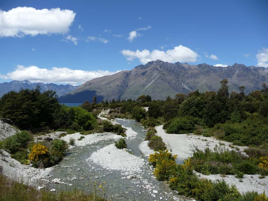 Glenorchy: 4WD Lord Of the Rings Half-Day Tour - Who will enjoy this tour most?