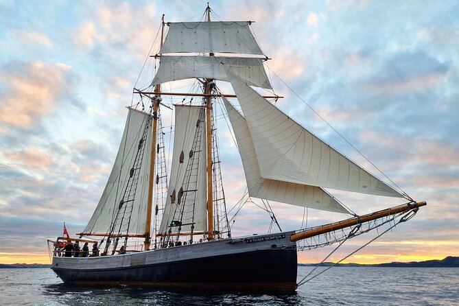Glow Worm Caves Express Tour in Bay of Islands - Cruise ship timing needs careful planning