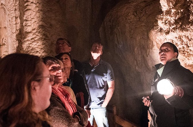 Glow Worm Caves Express Tour in Bay of Islands - Why the no-camera rule matters