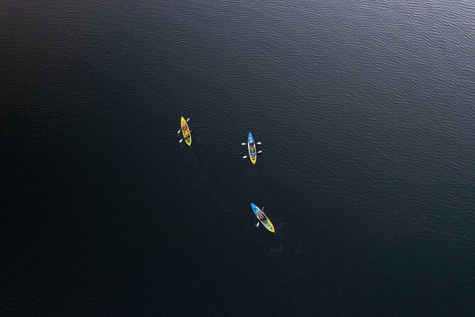 Glow Worm Kayak Tour - What the $121.01 price includes