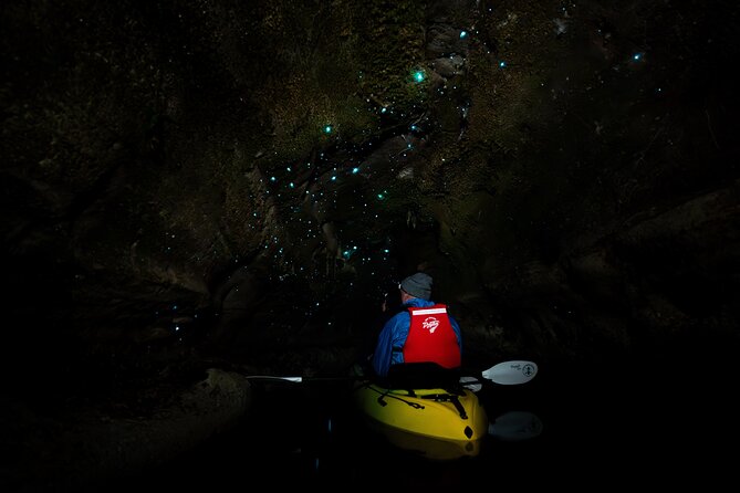 Glow Worm Kayak Tour - From central Rotorua to the lakeside base