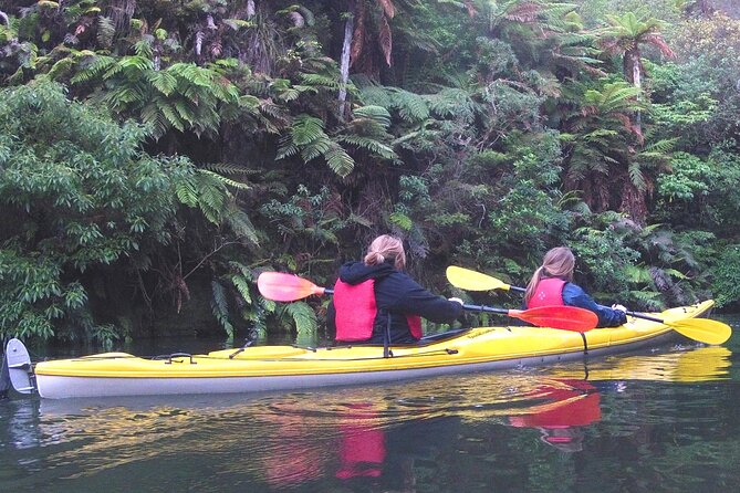 Glowworm Kayak Adventure on the Waikato River - Key points to know before you book
