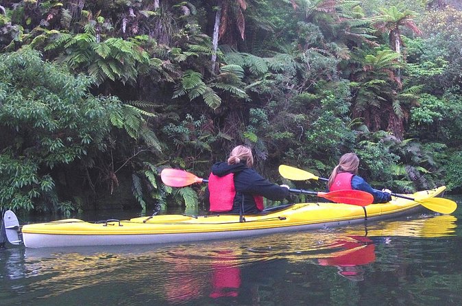 Glowworm Kayak Adventure on the Waikato River - Campfire comfort at twilight