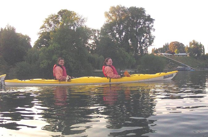 Glowworm Kayak Adventure on the Waikato River - Returning through the glowworm canyon