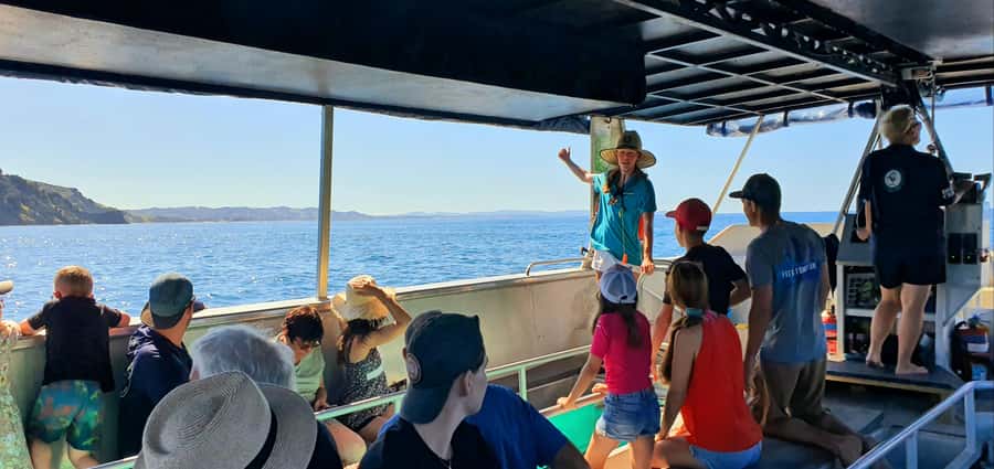 Goat Island: Glass Bottom Boat Tour - What you actually see from the Aquador