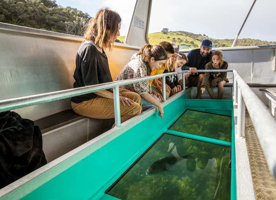 Goat Island: Glass Bottom Boat Tour - Who should book the Goat Island boat tour?