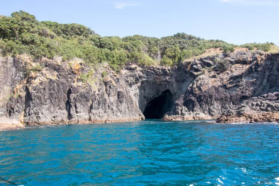 Goat Island: Glass Bottom Boat Tour - FAQ
