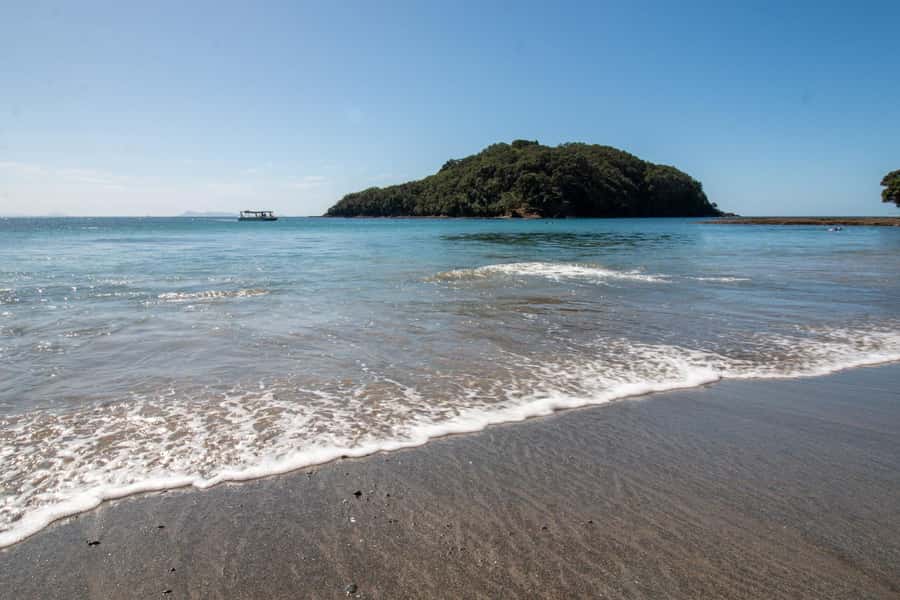 Goat Island: Glass Bottom Boat Tour - Why Goat Island’s marine reserve matters