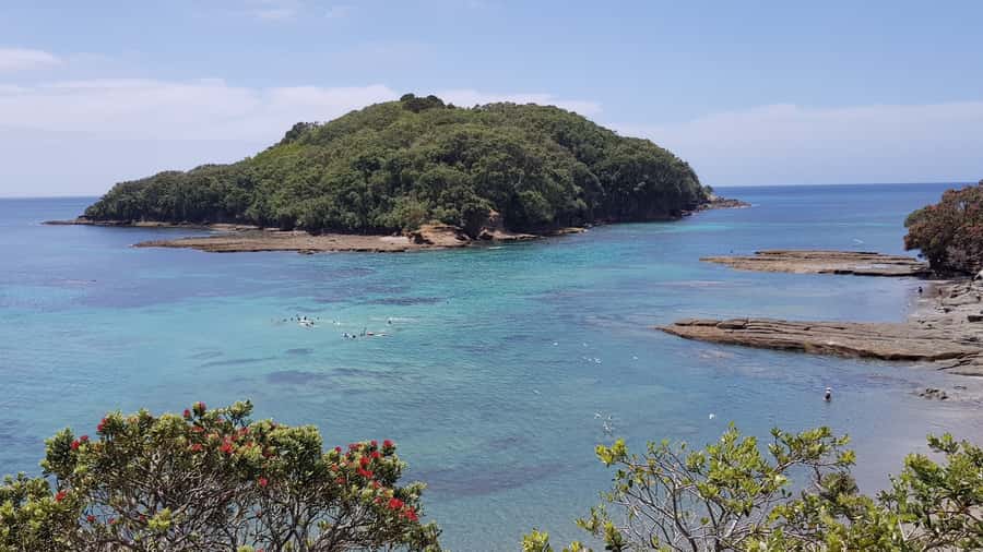 Goat Island Guided Snorkeling Tour for Beginners - The $56 price and the value of all-day gear