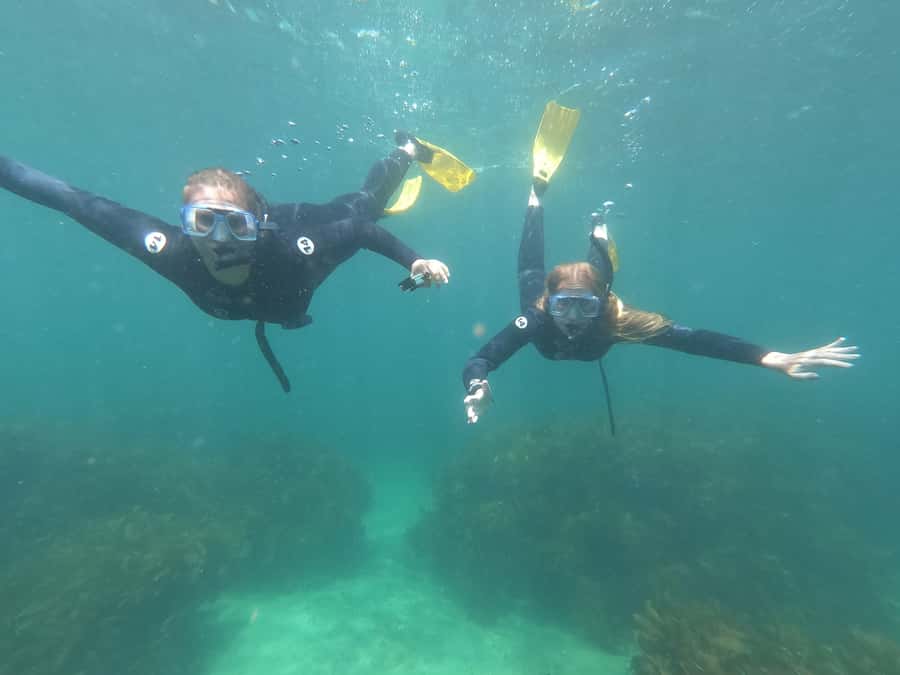 Goat Island Guided Snorkelling Tour For Advanced - Why Goat Island is a good classroom for advanced snorkelling