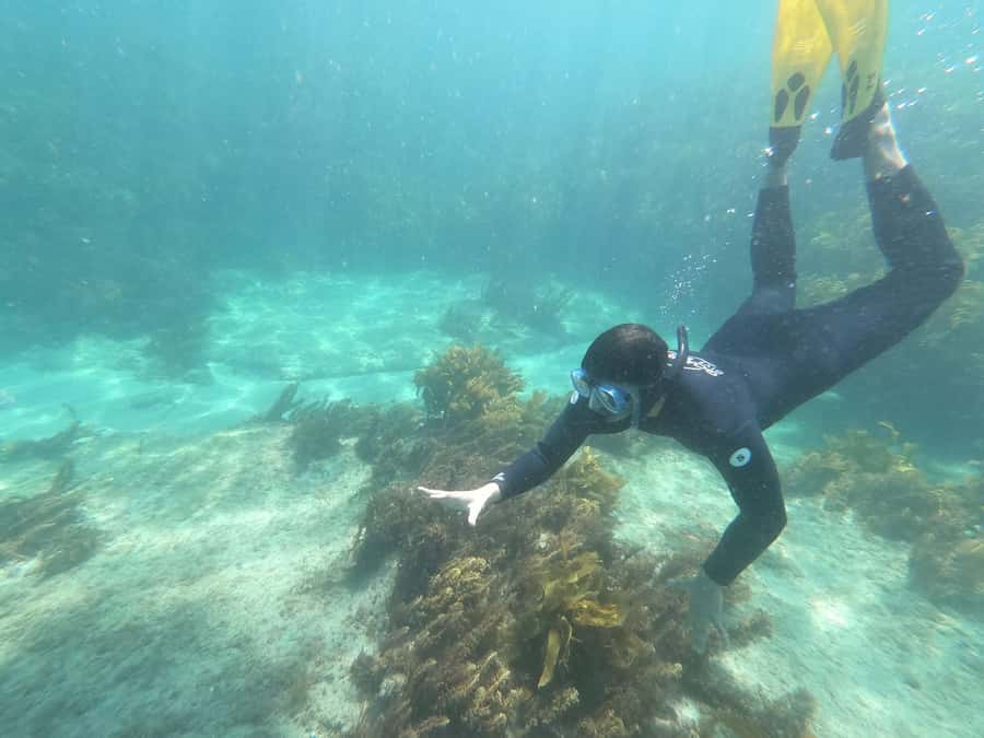 Goat Island Guided Snorkelling Tour For Advanced - A safety briefing before the water work