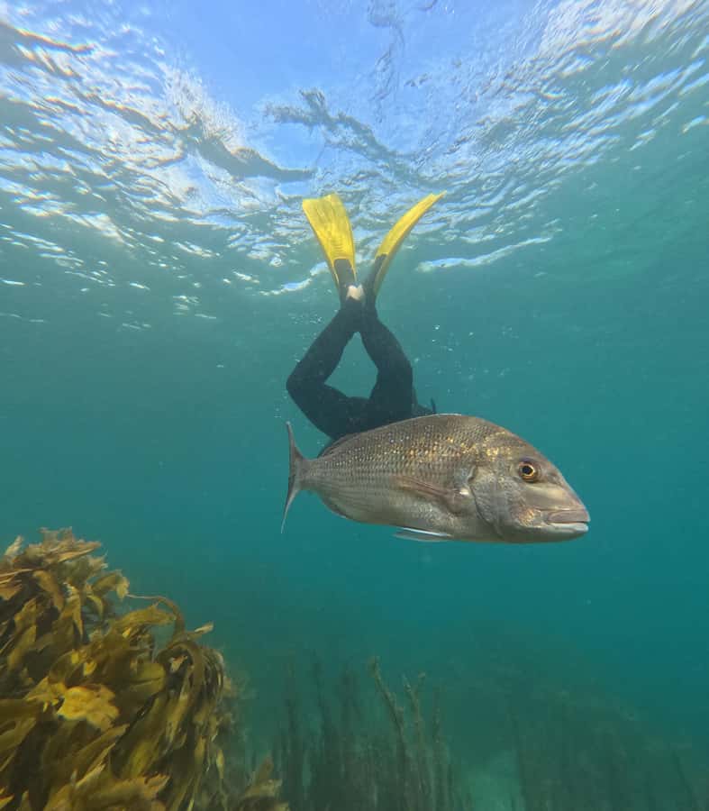 Goat Island Guided Snorkelling Tour For Advanced - Learning to duck below the surface