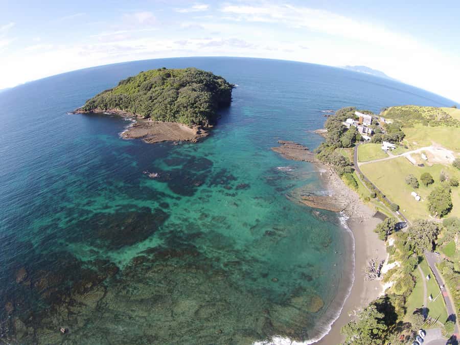 Goat Island Guided Snorkelling Tour For Advanced - Check in at Goat Island Dive and Snorkel