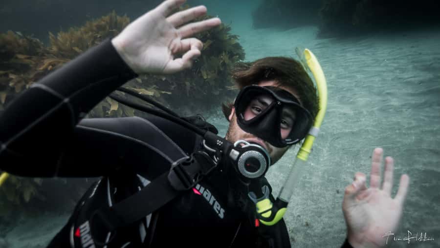 Goat Island Try Scuba Diving Experience - Key things to know before booking