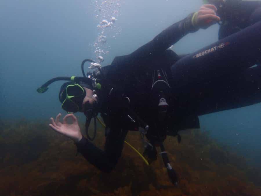 Goat Island Try Scuba Diving Experience - Should you book the Goat Island experience?