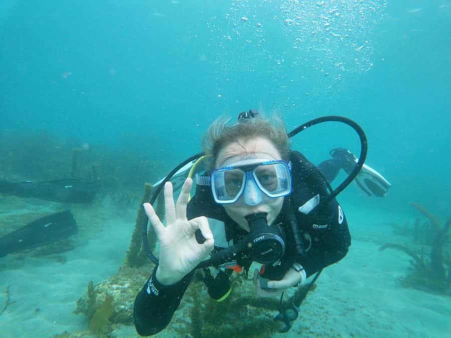 Goat Island Try Scuba Diving Experience - What the small group means for your experience