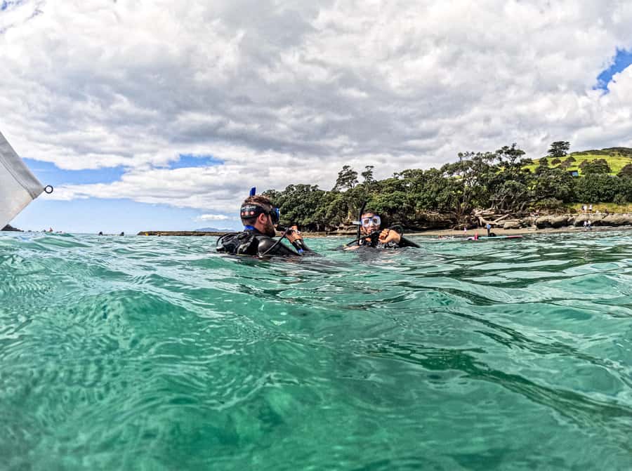Goat Island Try Scuba Diving Experience - Learning the equipment before entering deeper water