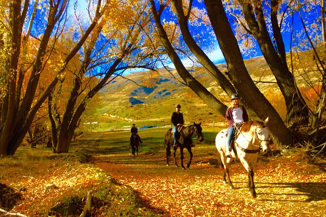 Gold Discovery Trail Horse Trek Cardrona - Most popular! - Riding through Cardrona’s gold-rush country