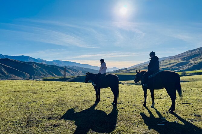 Gold Discovery Trail Horse Trek Cardrona - Most popular! - The price and what you get for it