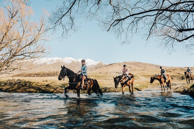 Gold Discovery Trail Horse Trek Cardrona - Most popular! - Meeting your horse at the Cardrona stables