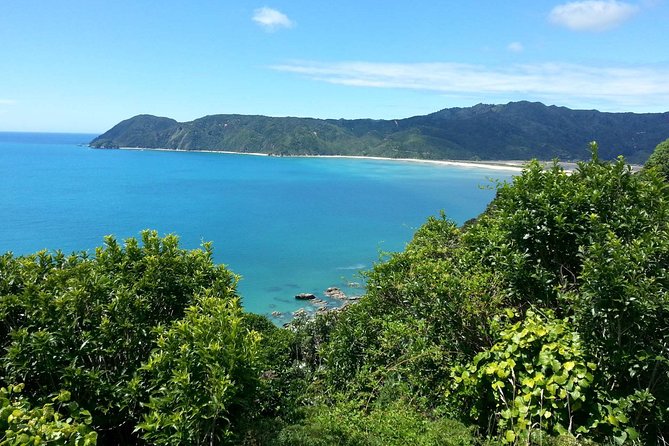 Golden Bay in a Day - Key points about Golden Bay in a Day