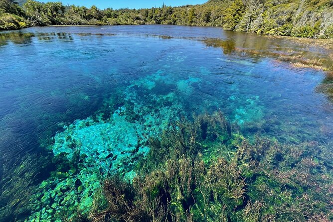 Golden Bay in a Day - Takaka Hill is the real opening scene