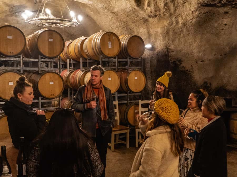 Gourmet Food and Wine Tour with Lunch and Wine Tastings - Wine quantity, pace, and practical comfort