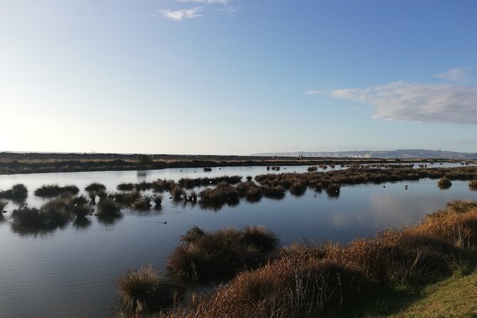 Great Escape Self-Guided Scenic Cycle Winery Tour from Napier - A coastal start from Napier’s Marine Parade