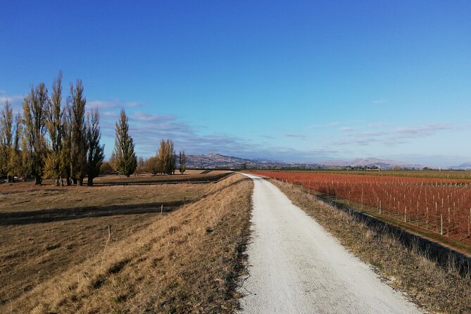 Great Escape Self-Guided Scenic Cycle Winery Tour from Napier - Following the coast toward Tukituki Valley