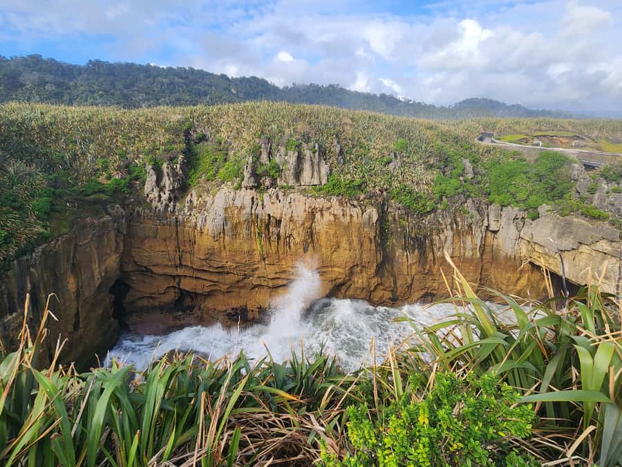 Greymouth: Full-Day Best Of The West Tour - The road to Punakaiki