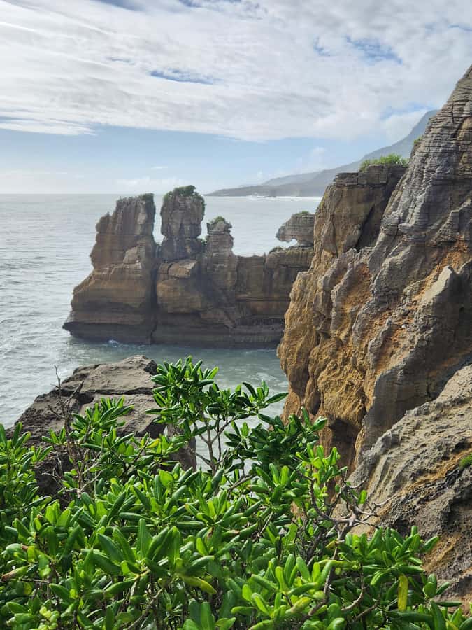 Greymouth: Full-Day Best Of The West Tour - Afternoon tea above the Tasman Sea