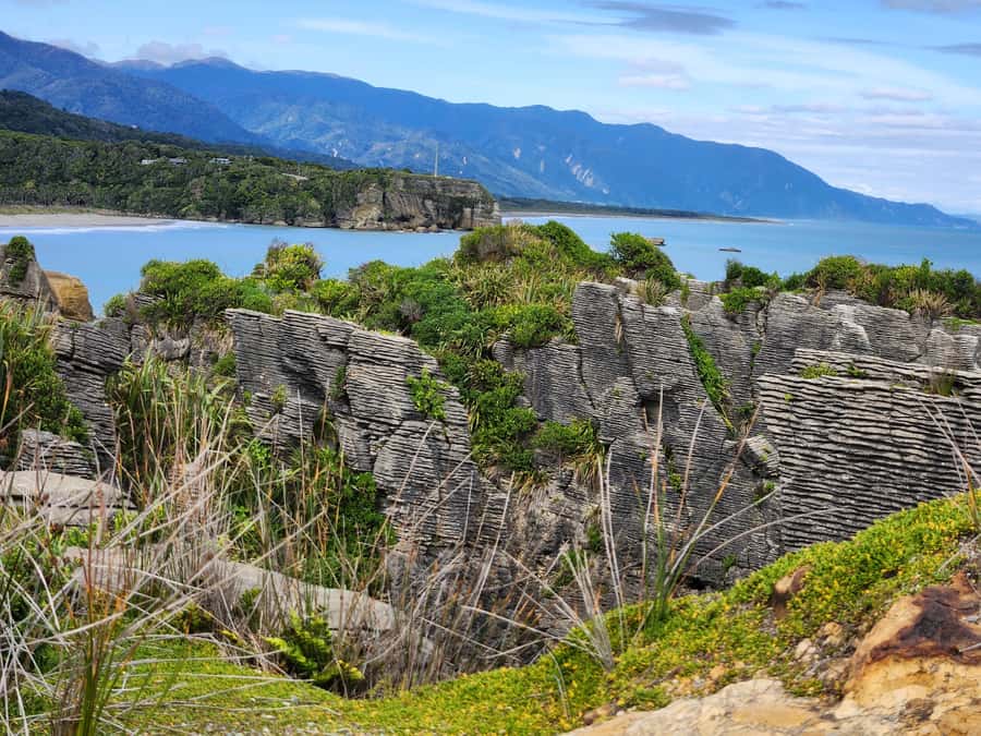Greymouth: Full-Day Best Of The West Tour - Should you book the Best of the West tour?