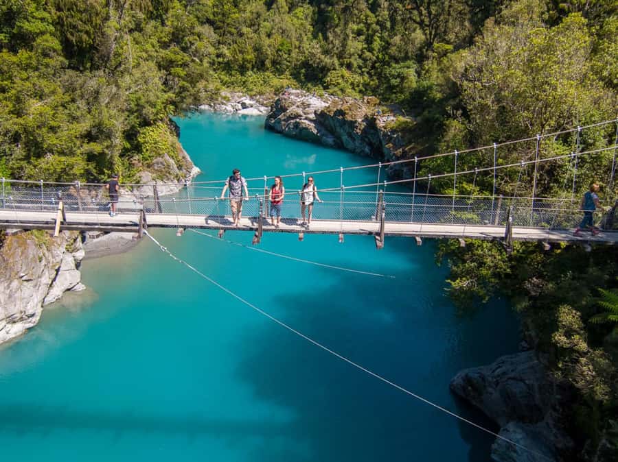 Greymouth: Full-Day Best Of The West Tour - Above the rimu and kamahi forest