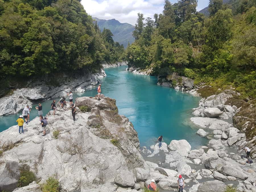 Greymouth: Hokitika Gorge and Tree Top Walkway Half-Day Tour - Walking through the rainforest canopy
