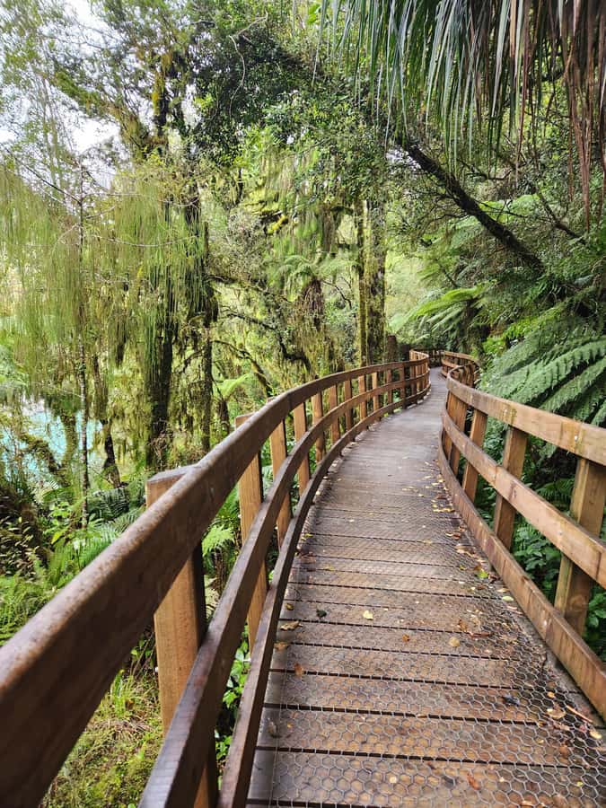 Greymouth: Hokitika Gorge and Tree Top Walkway Half-Day Tour - What the guide adds to the morning